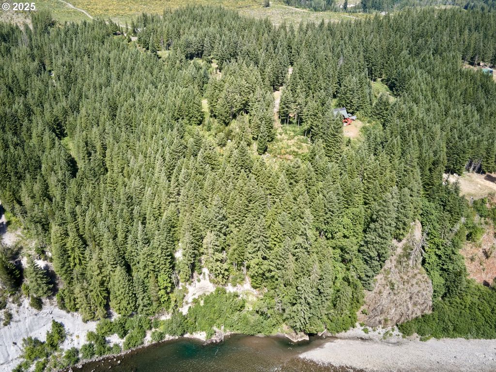 3 Phyllis Ann Block Ct, Cougar, WA 98616