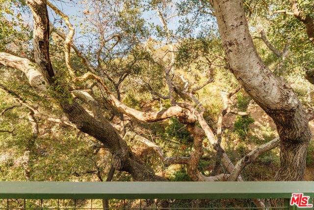 231 Muerdago Road, Topanga (los Angeles), CA 90290