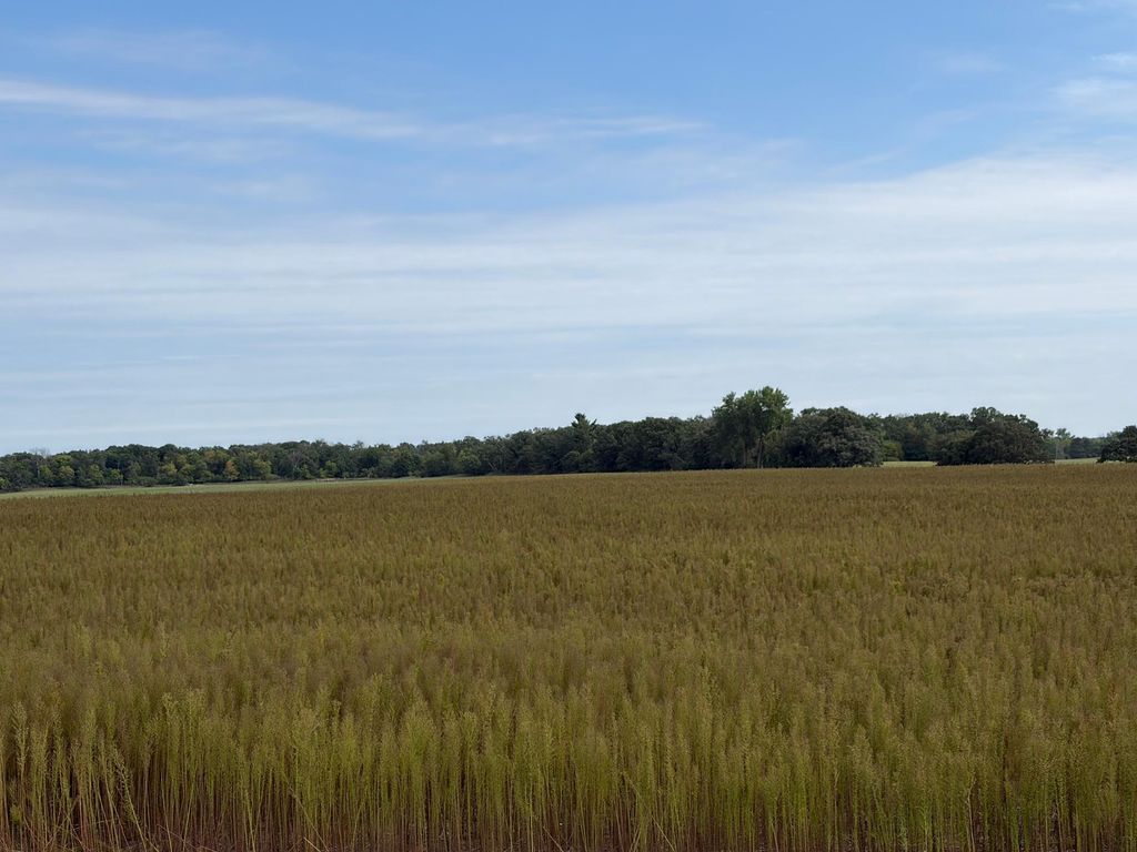 TBD (L11-SM East) Yellowpine Court NW, Isanti, MN 55040 — photo 2