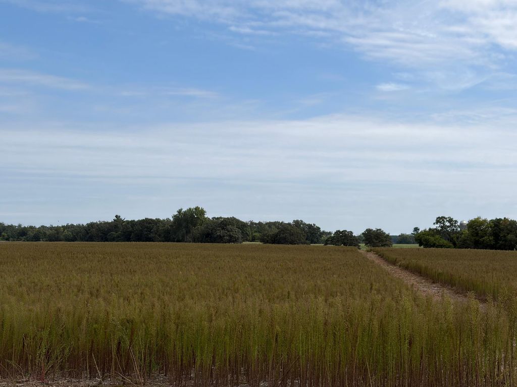 TBD (L11-SM East) Yellowpine Court NW, Isanti, MN 55040 — photo 3