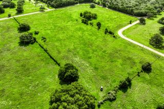 Tract 5 S Nassau Road, Round Top, TX 78954