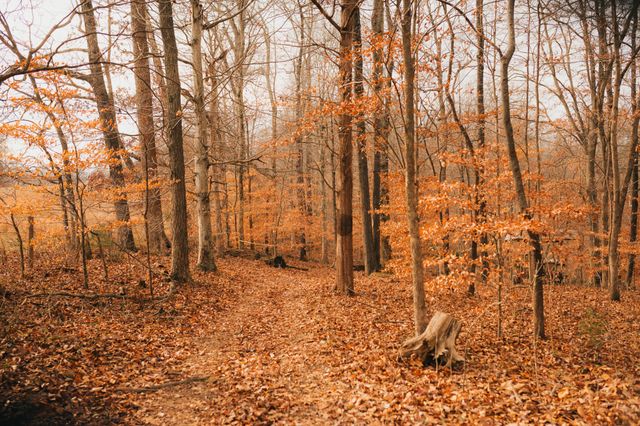 2590 Floyd Rd, Clarksville, TN 37042