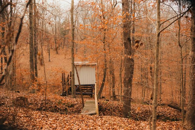 2590 Floyd Rd, Clarksville, TN 37042