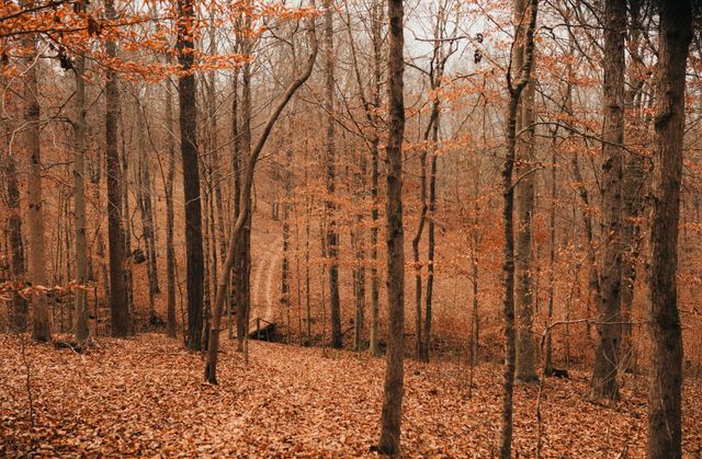 2590 Floyd Rd, Clarksville, TN 37042