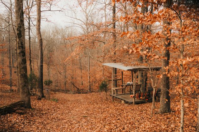 2590 Floyd Rd, Clarksville, TN 37042