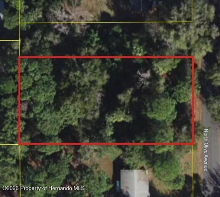 3408 N Olive Avenue, Crystal River, FL 34428