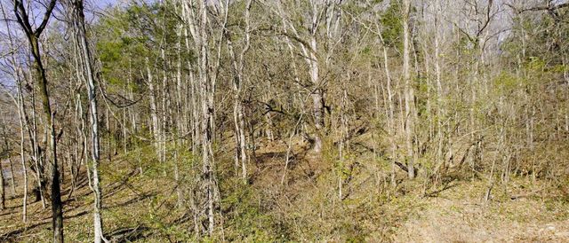 0 Whites Creek Pike, Whites Creek, TN 37189