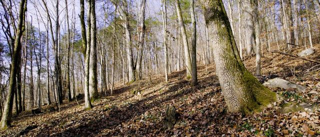 0 Whites Creek Pike, Whites Creek, TN 37189