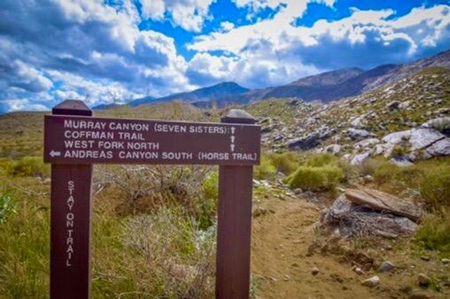 415 Village Square W, Palm Springs, CA 92262