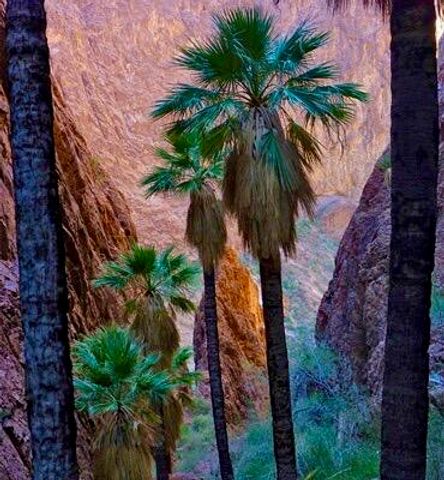 415 Village Square W, Palm Springs, CA 92262