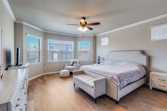 22417 Carriage Trace, San Antonio, TX 78261