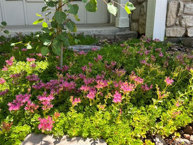 5904 S Netherland Circle, Centennial, CO 80015