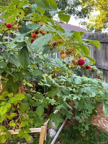 5904 S Netherland Circle, Centennial, CO 80015