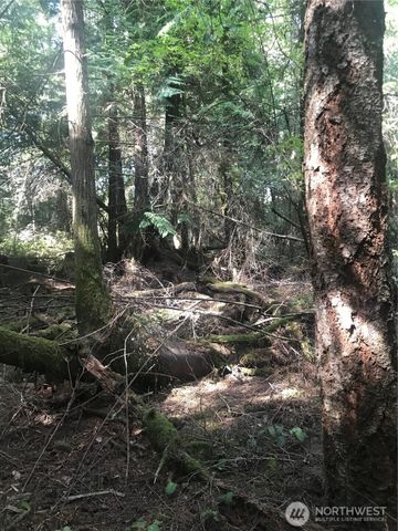 0 Channel Road, Lopez Island, WA 98261