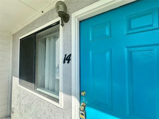 4411 Guadalupe ST 14, Austin, TX 78751