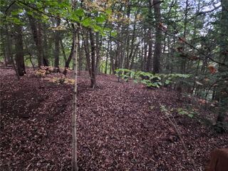 000 Barclay Hill Rd, Industry, PA 15052