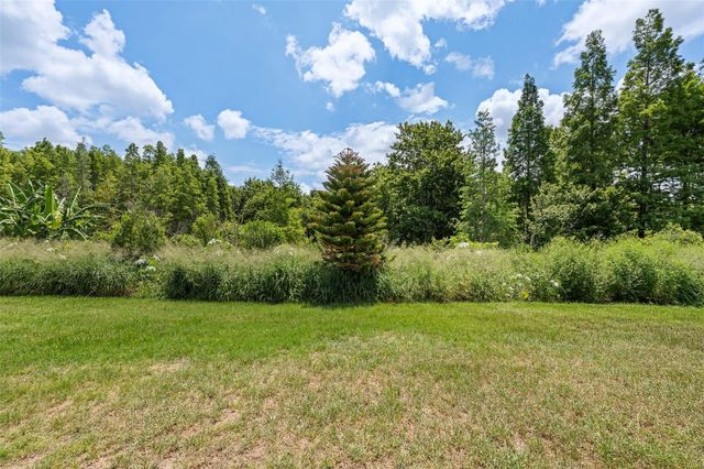 2212 LANDSIDE DRIVE, Valrico, FL 33594