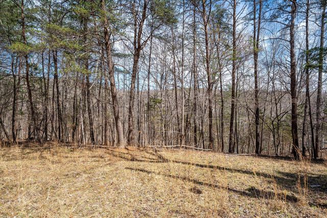TBD Judy LN, Moneta, VA 24121
