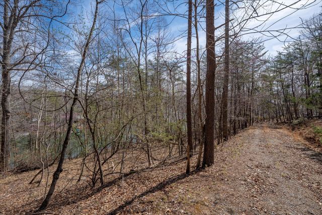 TBD Judy LN, Moneta, VA 24121