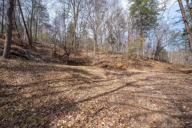 TBD Judy LN, Moneta, VA 24121