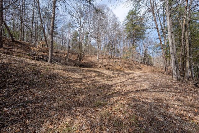 TBD Judy LN, Moneta, VA 24121