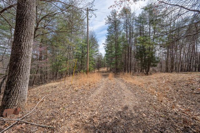 TBD Judy LN, Moneta, VA 24121
