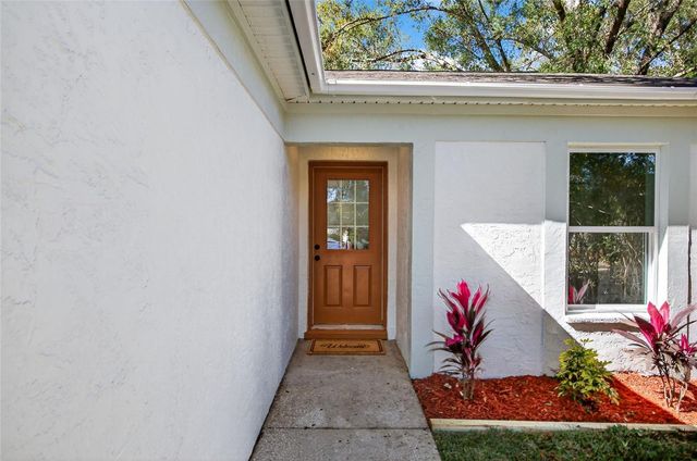 228 REGAL PARK DRIVE, Valrico, FL 33594