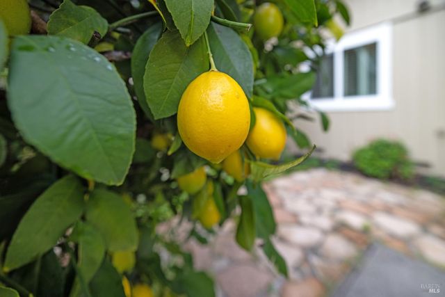 7103 Overlook Dr, Santa Rosa, CA 95409