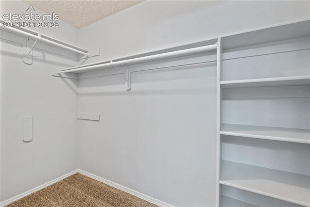 443 S 1st Street 12, Cripple Creek, CO 80813