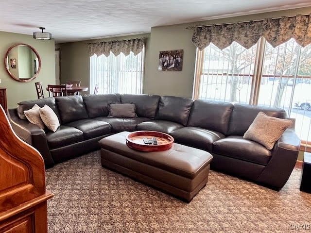 4846 Limehill Drive, Onondaga, NY 13215