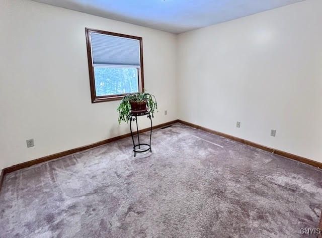 4846 Limehill Drive, Onondaga, NY 13215