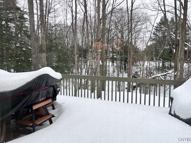 4846 Limehill Drive, Onondaga, NY 13215