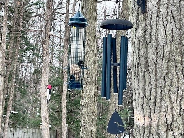 4846 Limehill Drive, Onondaga, NY 13215