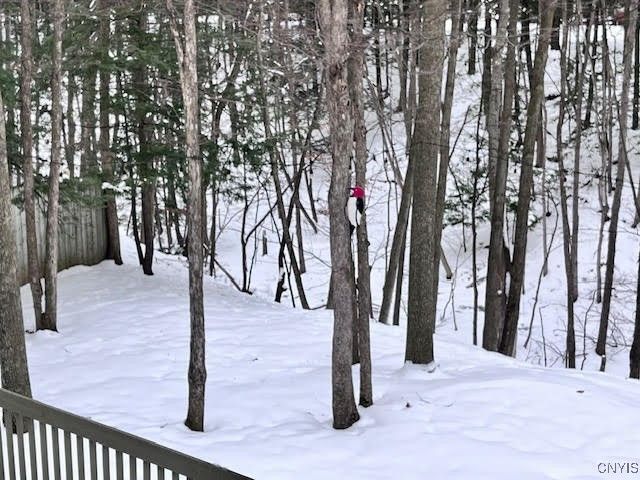 4846 Limehill Drive, Onondaga, NY 13215