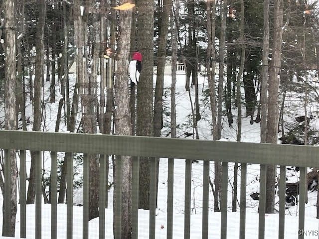 4846 Limehill Drive, Onondaga, NY 13215