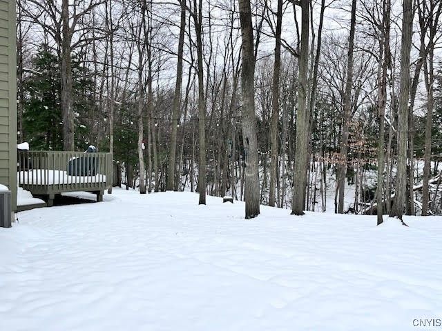 4846 Limehill Drive, Onondaga, NY 13215