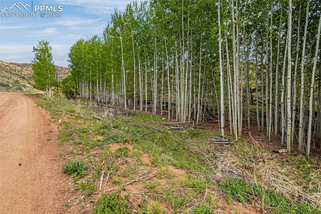 L1 B4 Columbine Circle, Woodland Park, CO 80863 — exterior