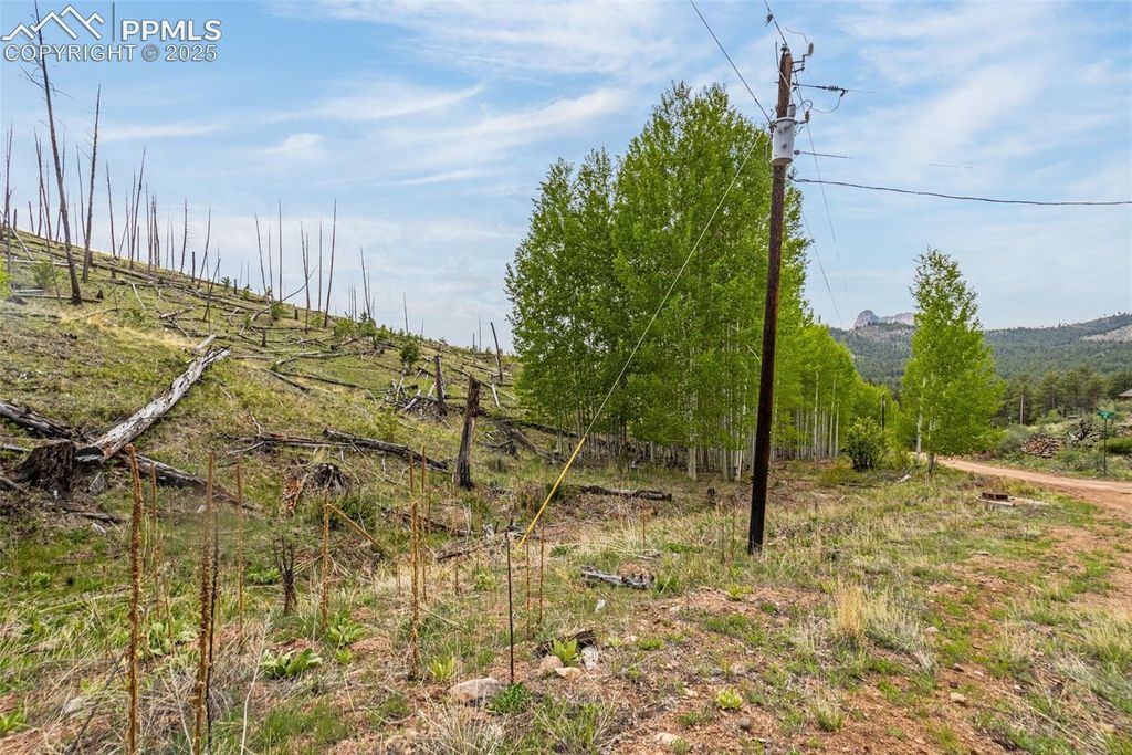 L1 B4 Columbine Circle, Woodland Park, CO 80863 — photo 2