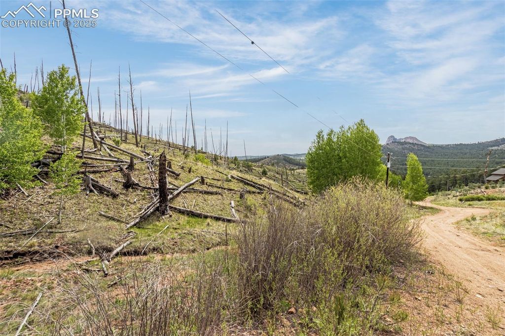 L1 B4 Columbine Circle, Woodland Park, CO 80863 — photo 3