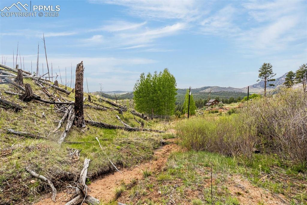 L1 B4 Columbine Circle, Woodland Park, CO 80863 — photo 4