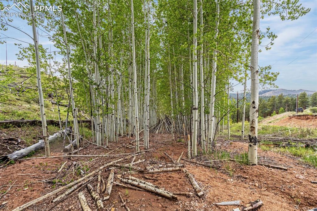 L1 B4 Columbine Circle, Woodland Park, CO 80863 — photo 5