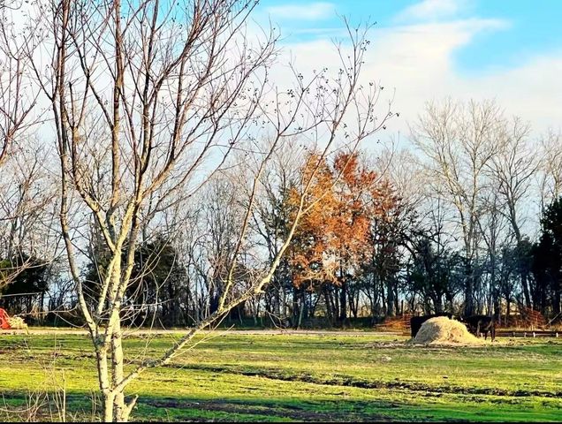 4085 Nicholson Lake Road, Chappell Hill, TX 77426