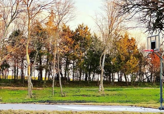 4085 Nicholson Lake Road, Chappell Hill, TX 77426