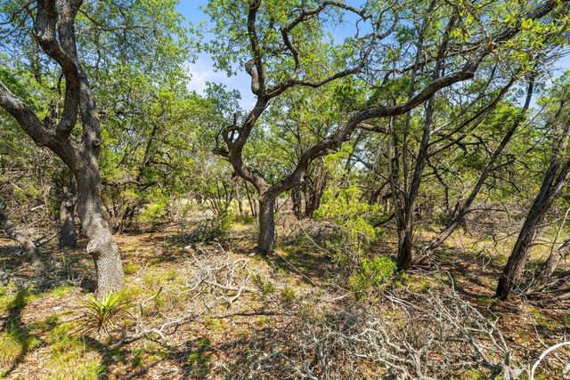 300 Stonegate LN, Dripping Springs, TX 78620