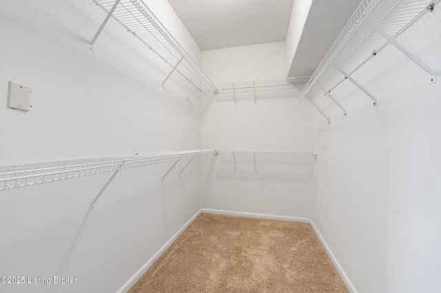 1309 Bent Willow Ln, Louisville, KY 40214