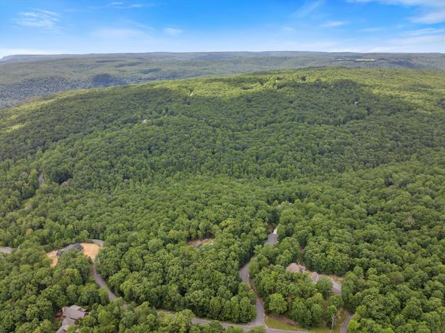 2168 Bluff View Drive, Dunlap, TN 37327