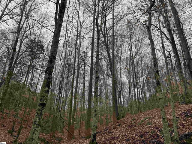 3465 Highway 92, Enoree, SC 29335