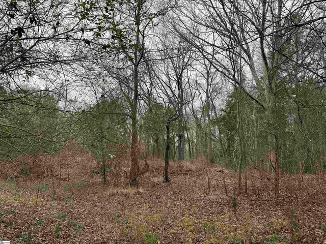 3465 Highway 92, Enoree, SC 29335