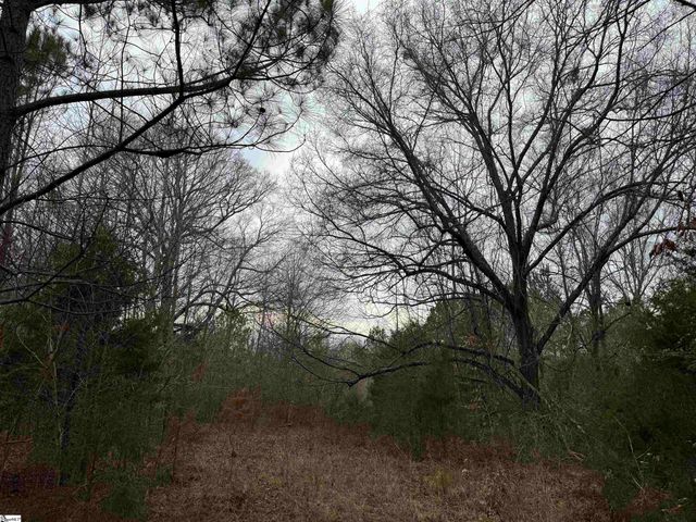 3465 Highway 92, Enoree, SC 29335