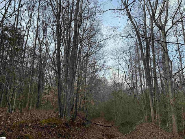 3465 Highway 92, Enoree, SC 29335